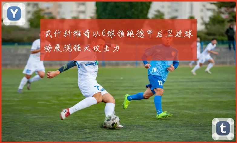 武什科维奇以6球领跑德甲后卫进球榜展现强大攻击力