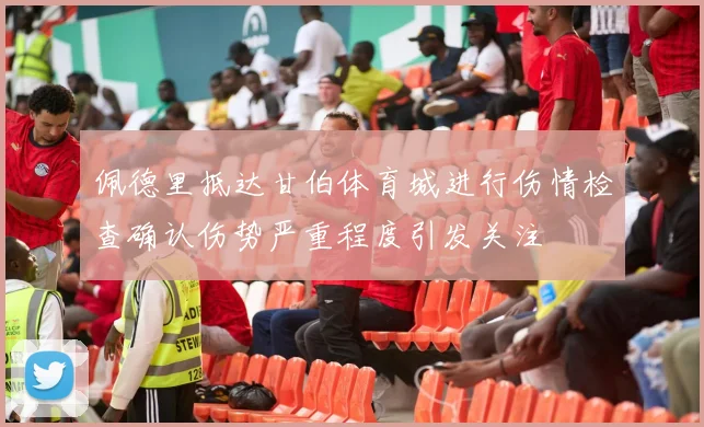 佩德里抵达甘伯体育城进行伤情检查确认伤势严重程度引发关注