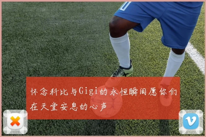 怀念科比与Gigi的永恒瞬间愿你们在天堂安息的心声