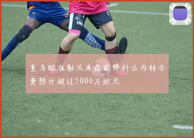皇马瞄准勒沃库森前锋科法内转会费预计超过5000万欧元