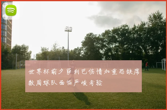 世界杯前夕萨利巴伤情加重恐缺席数周球队面临严峻考验